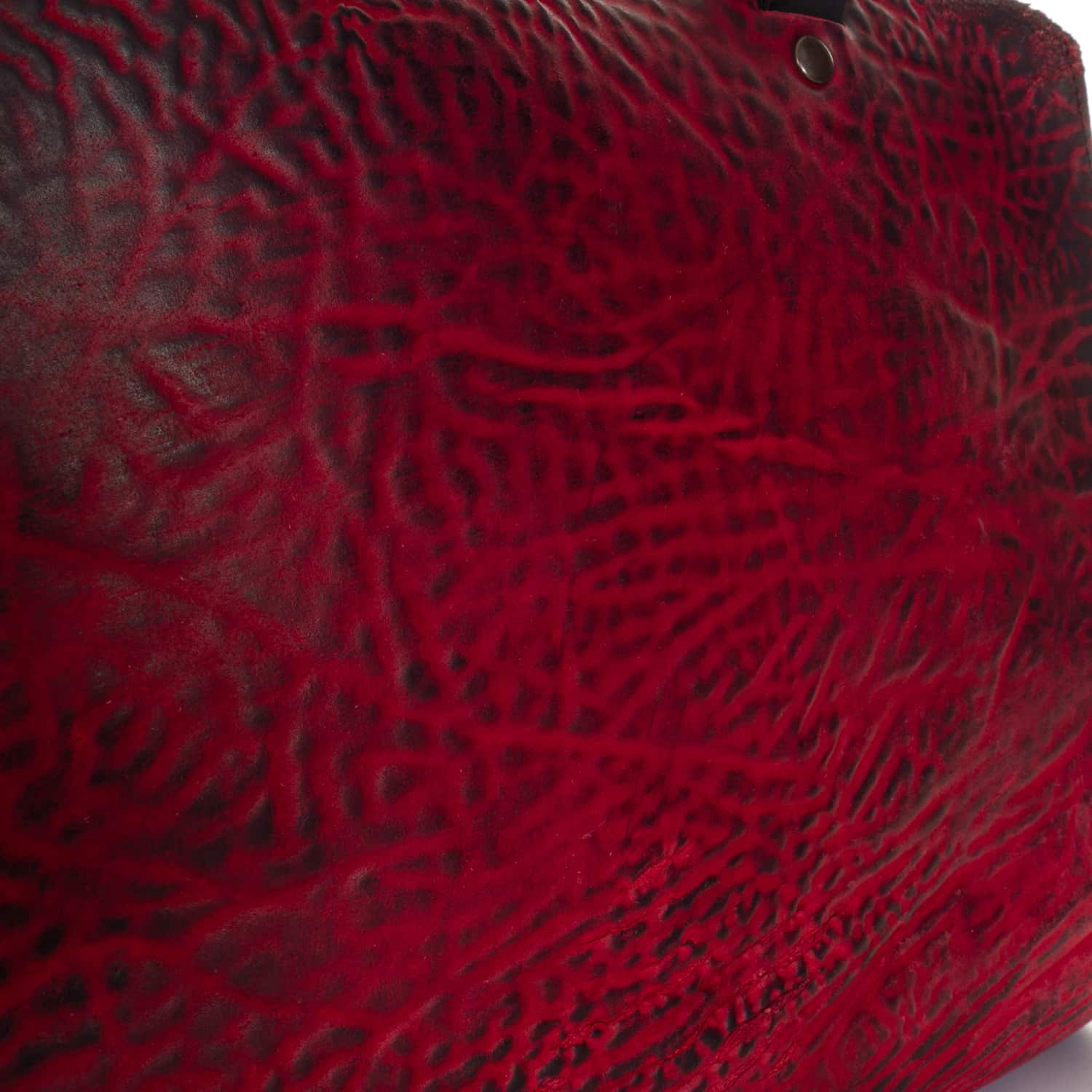 Shoto-olivia-horse-foca-rosso-nero-7-von-12 shoto-olivia-horse-foca-rosso-nero-7-von-12