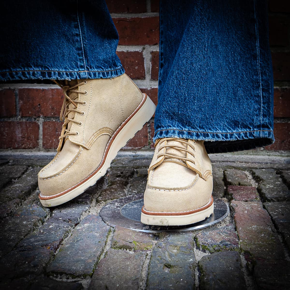 Fashionstory-die-form-zina-2-16-pichi fashionstory-die-form-zina-2-16-pichi