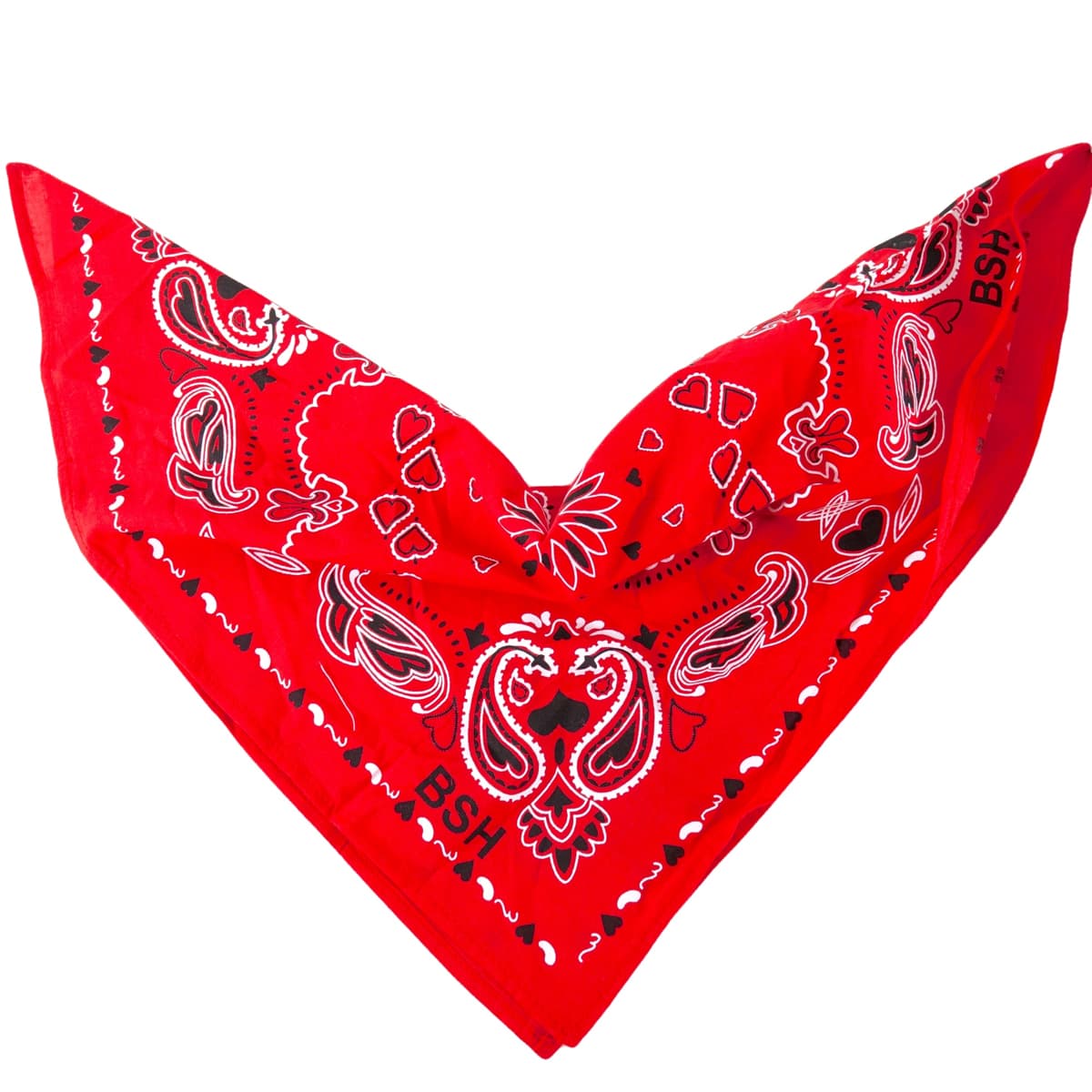 bsh-bandana-1