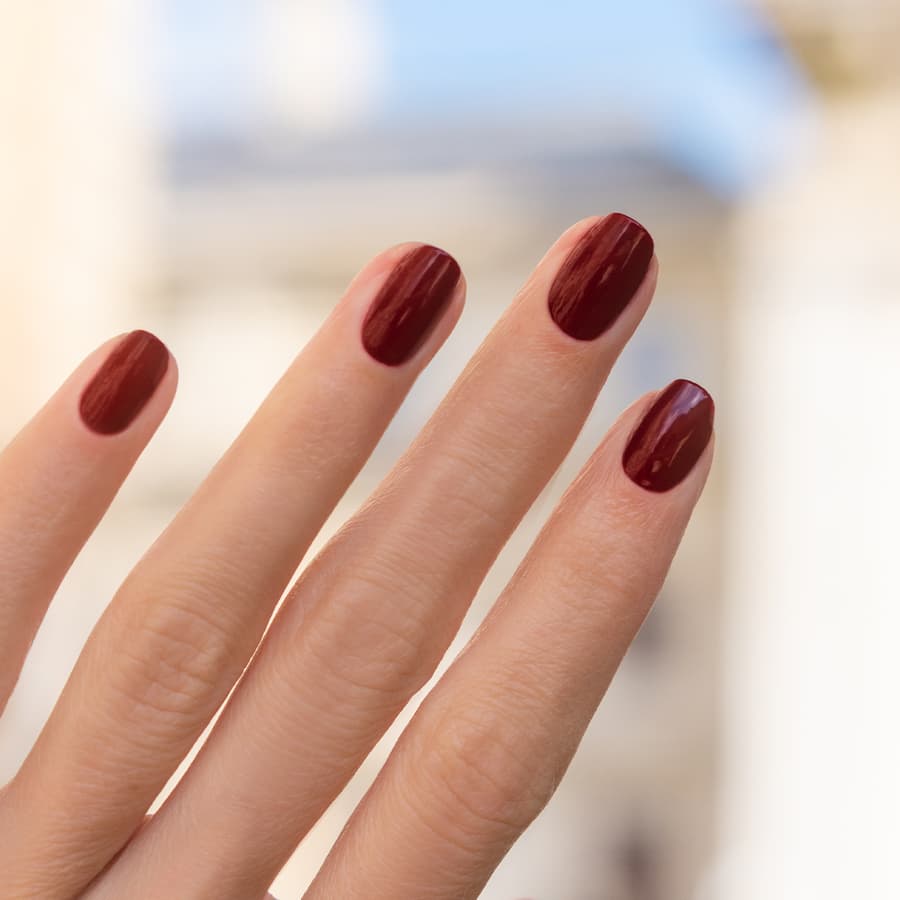 3662263310066_1 3662263310066_1